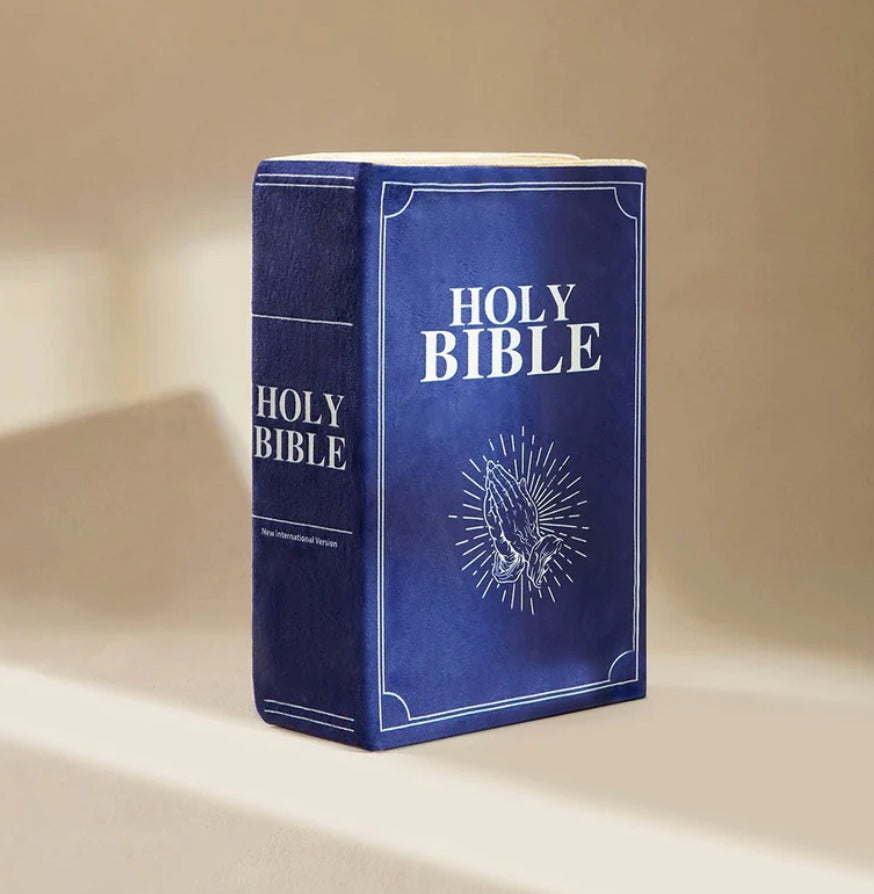 Bible Pillow